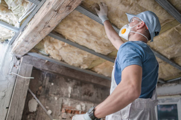 Best Specialized Insulation Services in Steger, IL