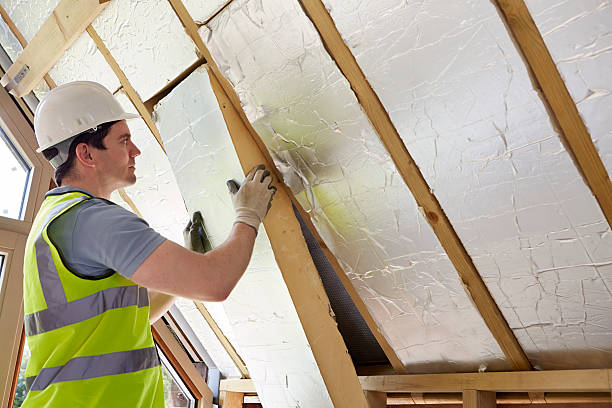 Best Insulation Maintenance and Repair in Steger, IL