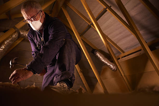  Steger, IL Insulation Contractor Pros