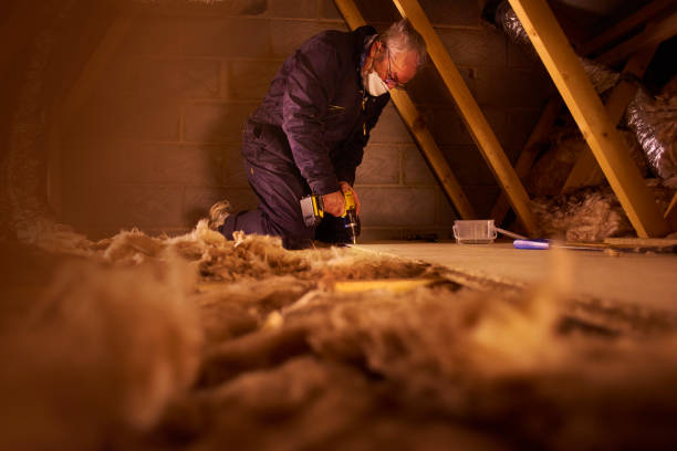 Best Insulation Maintenance and Repair in Steger, IL